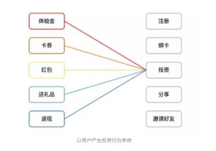 互聯(lián)網(wǎng)金融產品運營全案設計 策略、步驟與實戰(zhàn)解析